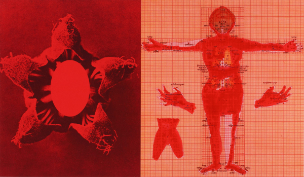 Tibetan Healings 1.1.3